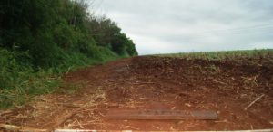 Agricultor espalhou tábuas com pregos em estrada de terra para furar pneus do carro de ladrões